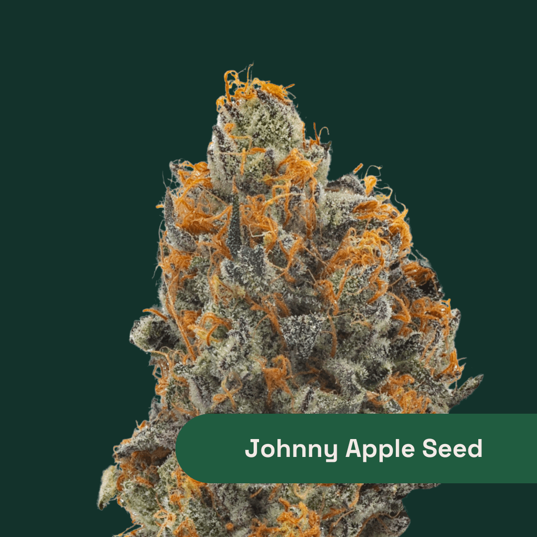 Johnny&#39;s - apple22 Johnny Appleseed - Elev8 Seeds