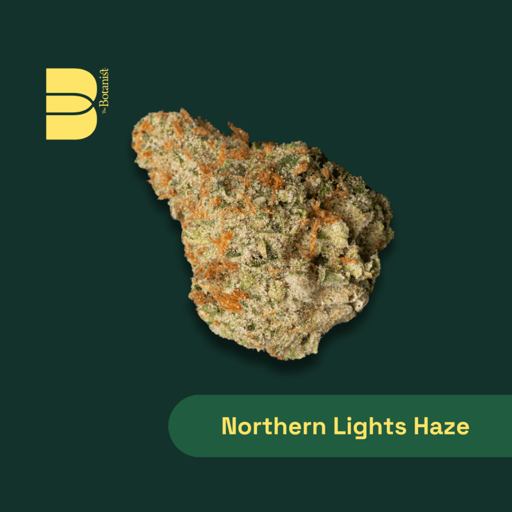 Explore Botanist | Northern Lights Haze Cannabis Strain by The Botanist