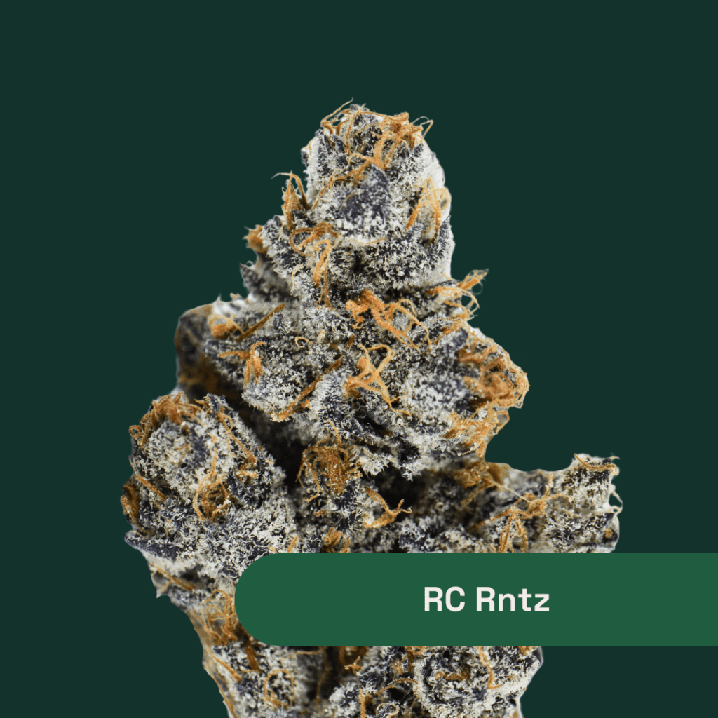 Explore Botanist | Red Carpet Rntz Cannabis Strain by The Botanist